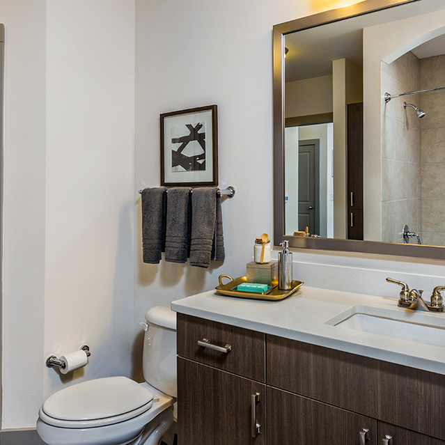 Creekside at Crabtree - Bathroom with Large Vanity