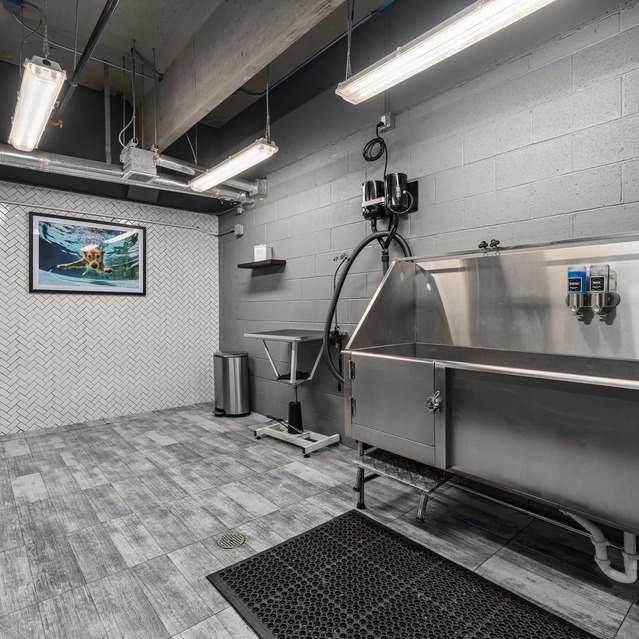 Creekside at Crabtree – Apartments and Townhomes – Dog Wash